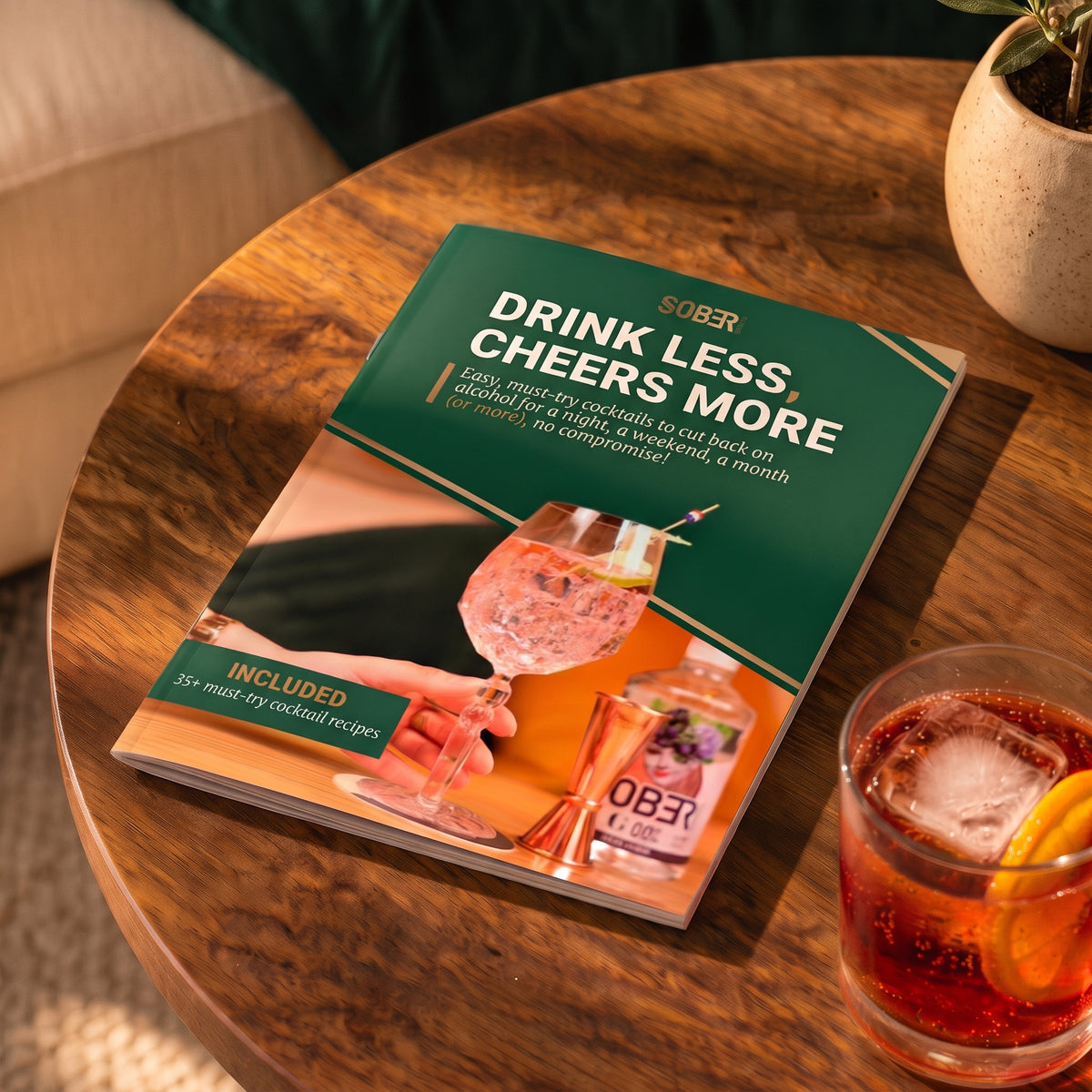 Drink Less, Cheers More booklet on the table [EN]