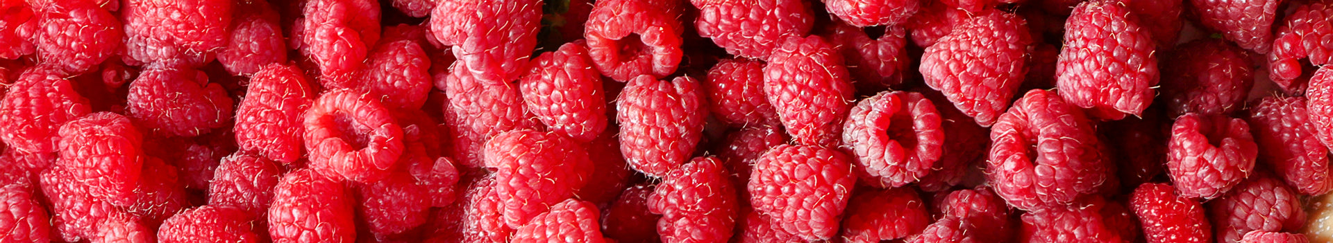 Très gros plan de la pâtisserie au Gin By Cécile Moritel, préparé avec du Sober Spirits gin 0.0% d'alcool.