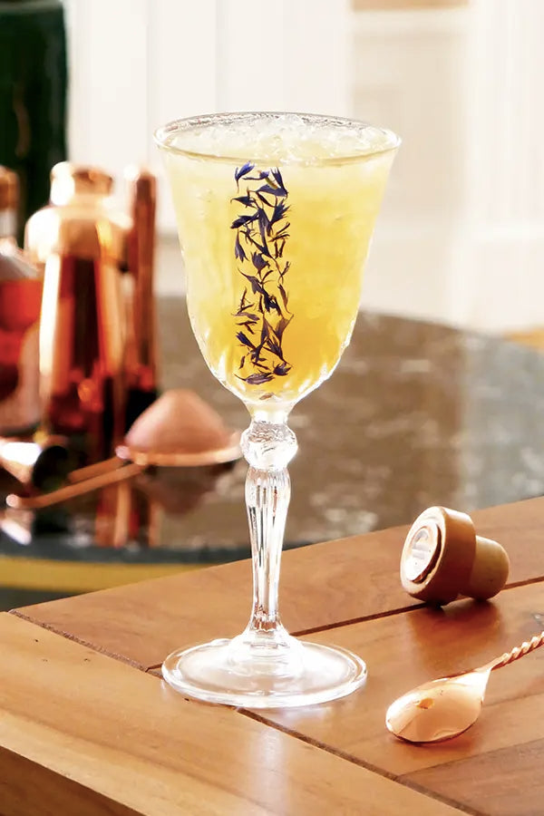 image paresseuse mobile